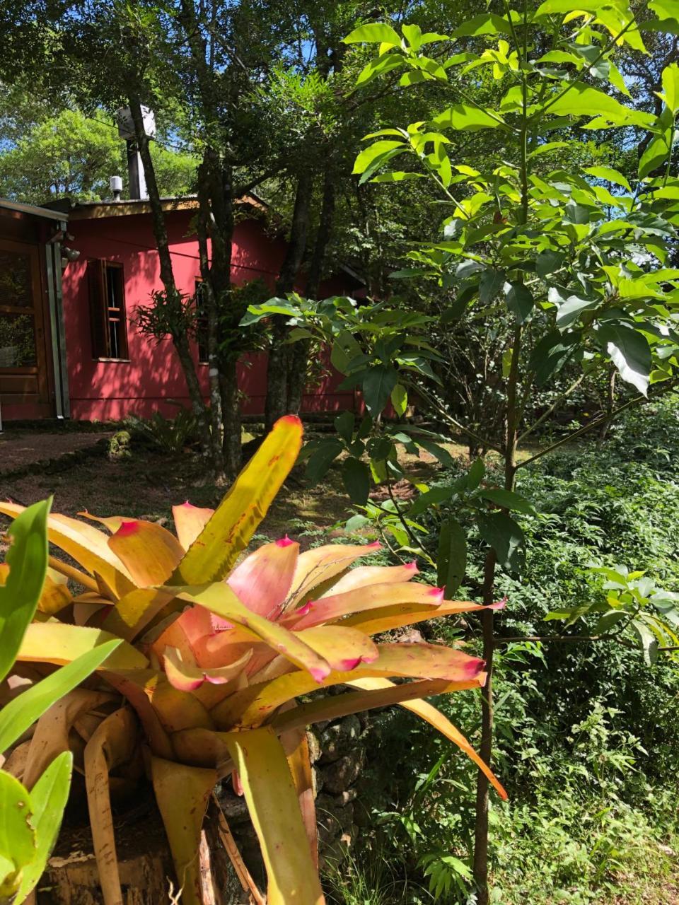Refugio Da Natureza São Francisco de Paula Exterior foto